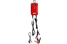 Formula 1 Batterie Ladegerät